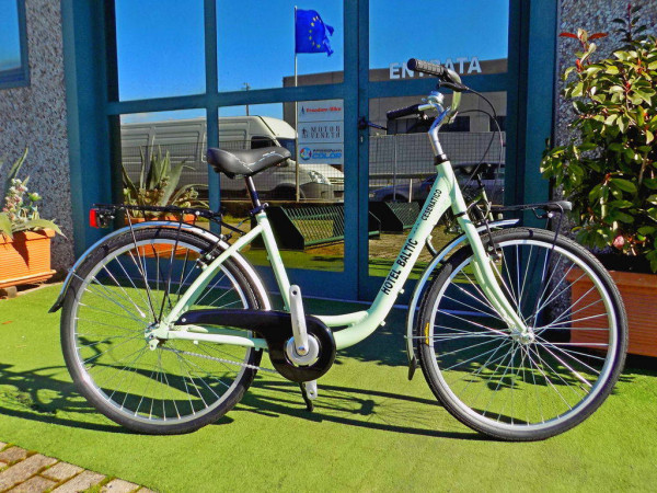 cigno-vrbike-it-1024x768